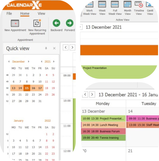 Manage your appointments and tasks with CalendarXe